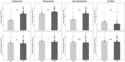 Preferences and Perceptions of Workplace Participation: A Cross-Cultural Study